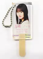 Sakura Endo (Nogizaka46) Individual Ice Type Key Holder "Midsummer's National Tour 2022"