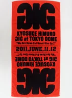 Kyosuke icehouse bath towel "Kyo SUKE HIMURO GIG at TOKYO DOME" We Are Down But Never Give Up! "