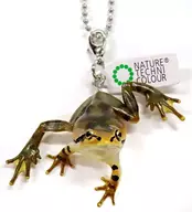 Tree Frog Legs / Brown (Ball Chain) "Nature Technicolor MONO PLUS dark-spotted frog, Schlegel's green tree frog and Tree Frog Magnet & Ball Chain"