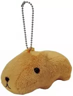 Capybara-san ball chain mascot "Capybara-san"