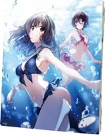 02. Under シンスメモリーズ 星天 (drawing) canvas arts "Memories Off Series"