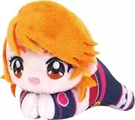 Cure Black "Precure 20th Anniversary Hagu Character Collection"