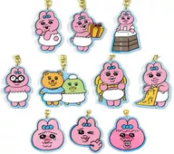 10-Type Set "Opanchu rabbit trading aurora acrylic key holder"