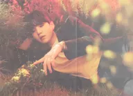 [單品]B3 POSTER SUGA(BTS/防彈少年團)"HYBE INSIGHT>POSTER BOOK捆綁產品