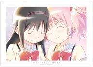 A3 mat finish poster Madoka Kaname & Mihomura Akatsuki Ani-Art aqua label 2nd "PUELLA MAGI MADOKA MAGICA [Part 1] The Beginning Story / [Part 2] The Eternal Story"