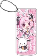 01. Usagiku Mari x Pochakko (Mini Character illustration) Slide-type accessory case "Virtual YouTuber All Guys× Sanrio Character Cters"