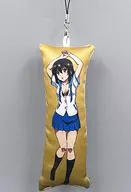 Hime Hiiragi Yukina (uniform) mini cushion "KUJI Hikido STRIKE THE BLOOD Tonight is a sweet wedding online KUJI" B-4 prize