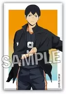 Kageyama Tobio Stadium Panel vol. 2 "Haikyu!"