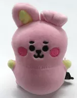 COOKY嬰兒壓力球