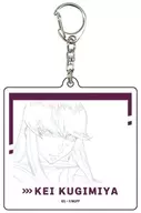 Kugimiya Kei, "Galactic Aircraft Attack Majestic Prince Acrílico Key Holder 01. Original Illustrated".