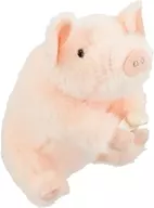 Pig Mascot