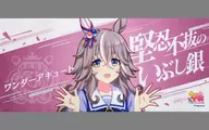 ワンダーアキュート 公式応援タオル 「ウマ娘 プリティーダービー 5th EVENT ARENA TOUR GO BEYOND MEMORIAL RECORD -WISH-」