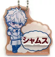 Shams "E Rios Rising Heroes POPUP SHOP in Marui Trading Name Plate Key Holder Mini Character ver. TypeB"