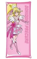 08. DOKIDOKI! PRECURE Multi Clear Case Lsize "Precure All Stars"