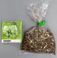 Sweet basil : "Easy-to-Grow Cultivation Kit from Capsule Edible Herbs"