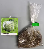 Time "Easy Cultivation Kit from Capsule Edible Herb Edition"