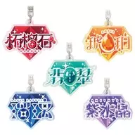 5-Type Set "Mikke's Jewel Logo Acrylic Key Holder"