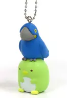 ¿Anodorhynchus hyacinthinus y Penguin? "La cadena de bolas de mascota de las criaturas del jardín botánico de Higashiyama"