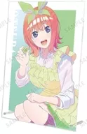 Illustration by Yotsuba Nakano (uniform apron ver.) Ani-Art clear label A4 acrylic panel "Eiga The Quintessential Quintuplets"