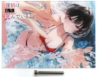 [Single Item] Nagisa 夏凪 original B6 mini acrylic art "The Light Novel Detective is dead. Volume 10 Gamers Limited Edition" bonus included with the item