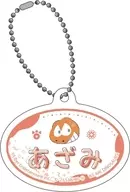 Izumita Hiroshi × Weir Dyna Soars "Name Plate Key Holder A3! ×Sanrio characters 02. A&W"