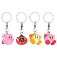 4-Type Set "Mejirushi Accessory Hoshi-no Kirby Sparkling Lame Special Ver."