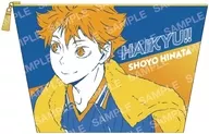 A. HINATA SHOYO Multi-Case "Haikyu!"