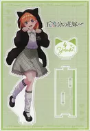Nakano Yoha (Nekomimi Parker Ver.) Suporte acrílico "A Noiva de 5 Partes" x Don Quixote "
