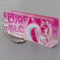 Cure Blossom "All Precure 20 th Anniversary LIVE! Acrílico Block Keychain 2009 ~ 2011"