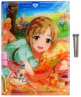 [A la Carte] Yumi Aiba's special big acrylic board "idol Master Cinderella Girls Yumi Aiba -off stage - Limited Edition 1/8 PVC coated finished product" included special bonus