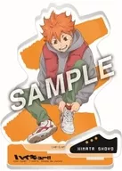 HINATA SHOYO ShoesFit Whole Body Acrylic Stand "Haikyu!"