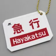 Expresso "Very Really Train Name Plate Keyring" Minami Aso Railway Goods