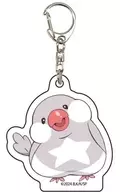 Pi-chan "Sasaki and Pi-chan Acrylic Key Holder 01. Official Illustration"