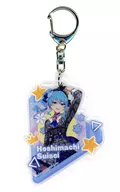 Hoshigai Usui Trading Acrylic Key Holder "Virtual YouTuber Hololive ×JOYPOLIS FANCY PARTY" Hololive de PON! Grand Prize