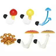 6-type set "Nature Technicolor MONO PLUS Mushroom Earplugs Collection"