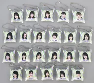 Set of 22 kinds, mini cushion key holder "Documentary of Keyakizaka46" crane game prize