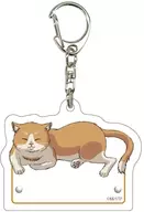 Cat "Oi! Tonbo Acrylic Key Holder 01. Official Illustration"