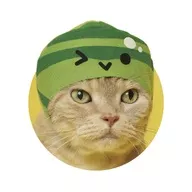 Watermelon : "Cute and Cute Cat's Headwear Watermelon Game"