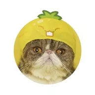 Pineapple : "Cute and Cute Cat's Headwear Watermelon Game"