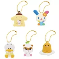 5-Type Set "Sanrio Character Cters Flat Mascot Team Iero"