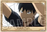 9. Kageyama Tobio Stadium Panel Mini Vol. 6 "Haikyu!"