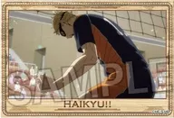 14. Tsukishima Hotaru Stadium Panel Mini Vol. 6 "Haikyu!"