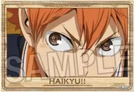 16. HINATA SHOYO Stadium Panel Mini Vol. 6 "Haikyu!"