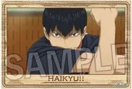 25. Kageyama Tobio Stadium Panel Mini Vol. 6 "Haikyu!"