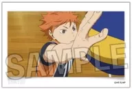 20. HINATA SHOYO Stacking Block Vol. 6' Haikyu!'