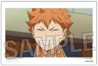 27. HINATA SHOYO Stacking Block Vol. 6' Haikyu!'