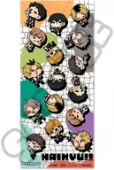 M-SA. Gather, Minna mochocho Grand Strategy! Second face towel "Haikyu!"