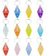 12-type set "Gakuen idol Master Motel Key Holder"