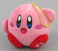 Kirby Family "Hoshi-no Kirby" Hoshi-no Kirby Fan 2 October 2020 Appendix