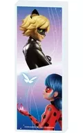 02. Lady Bug & Chanoir (official illustration) collection bottle "Miraculous Lady Bug & Chanoir"